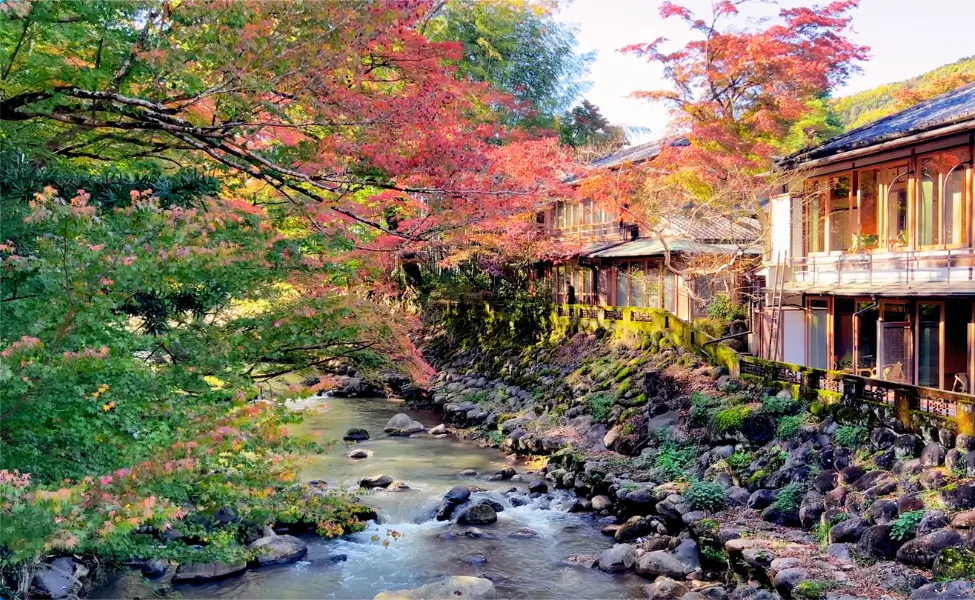 A Shuzenji ryokan by the river A Shuzenji ryokan by the river