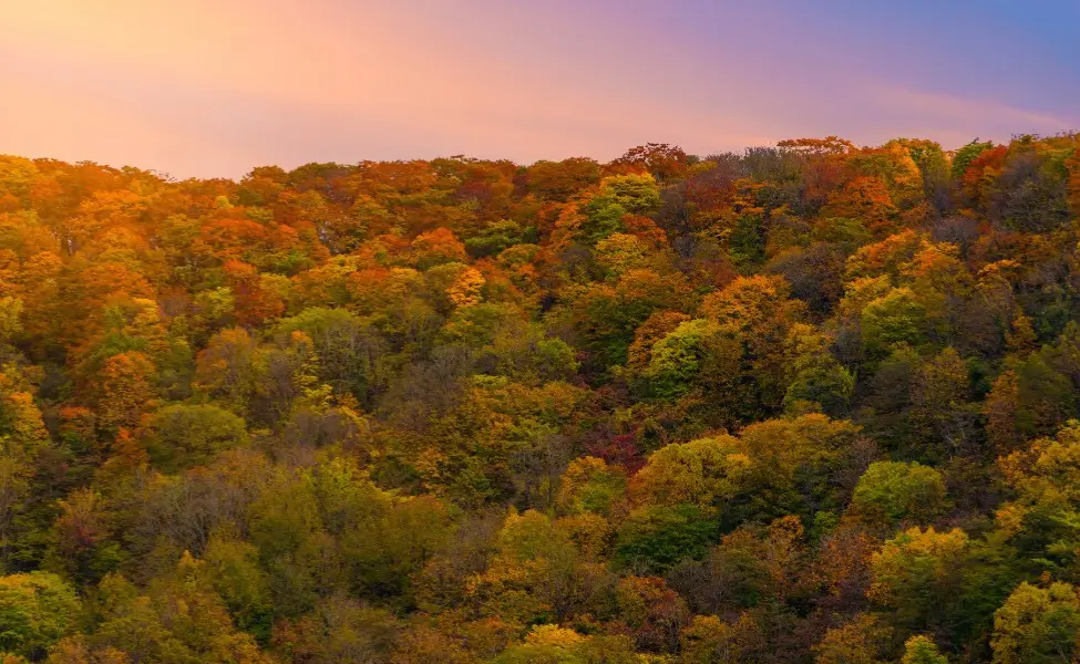 Karikomichi in Fukui Prefecture Karikomichi in Fukui Prefecture