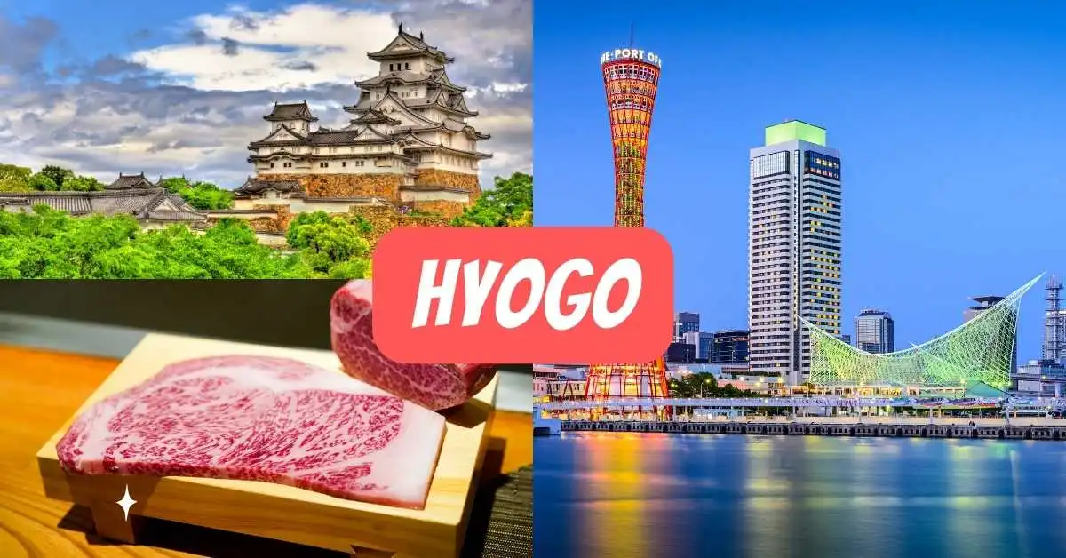 Things to do in Hyogo Prefecture MustVisit Attractions & Activities