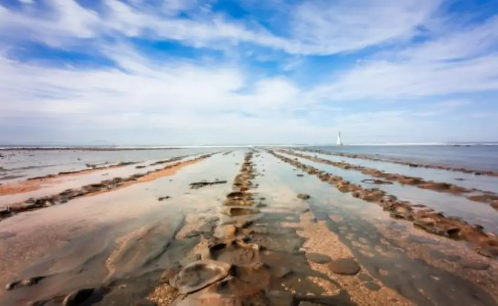 Devil's Washboard in Miyazaki Devil's Washboard in Miyazaki