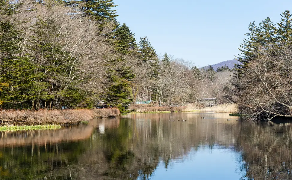 Kumobaike in karuizawa Kumobaike in karuizawa