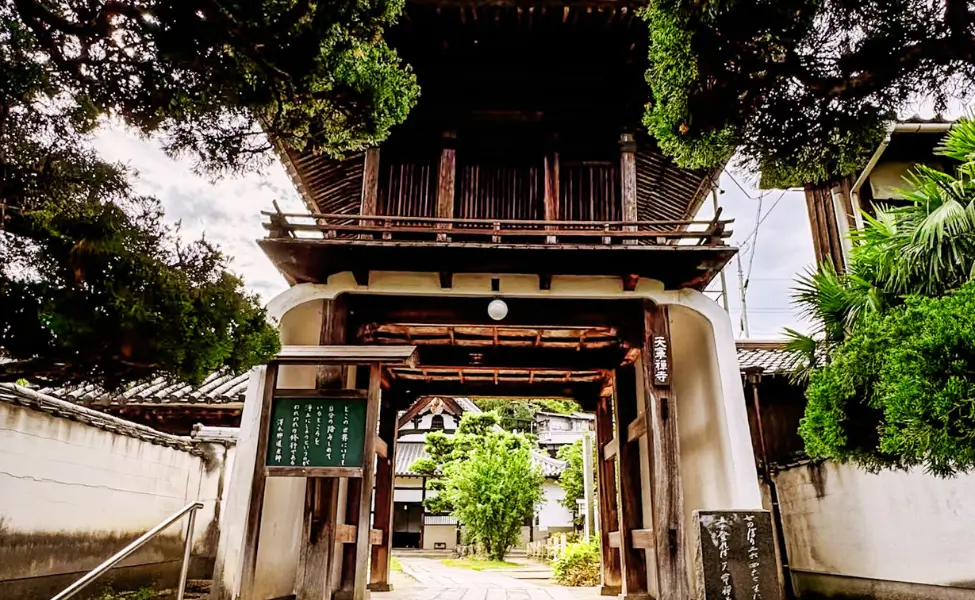 The main gate of Tennei-ji Temple e in Shiga prefecture in Spring The main gate of Tennei-ji Temple e in Shiga prefecture in Spring