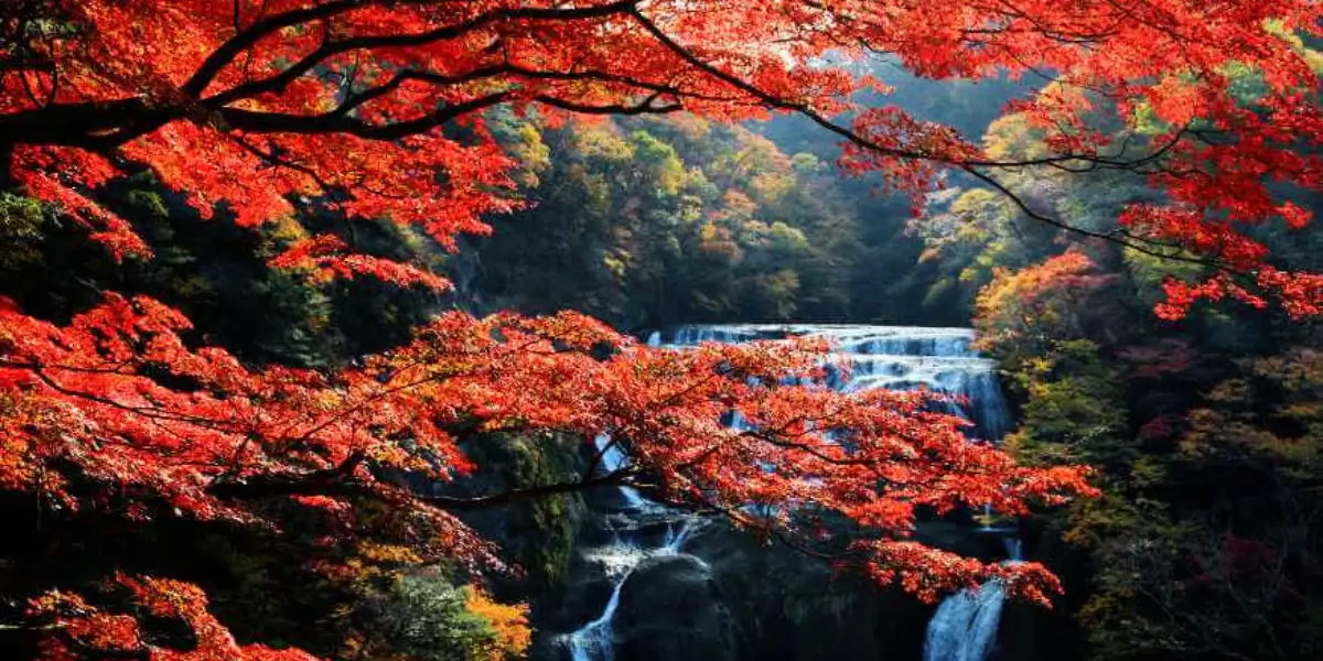 Japan Autumn Bucket List