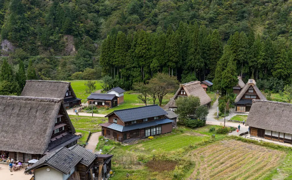 gassho-zukuri houses in Shirakawa go gassho-zukuri houses in Shirakawa go
