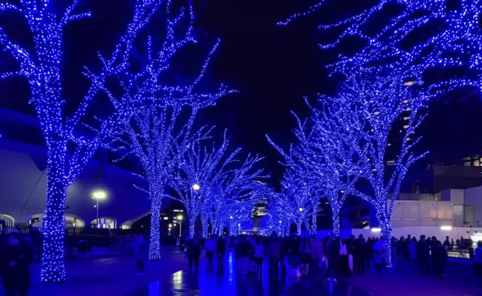 Christmas in Japan Shibuya's Blue Cave Christmas in Japan Shibuya's Blue Cave