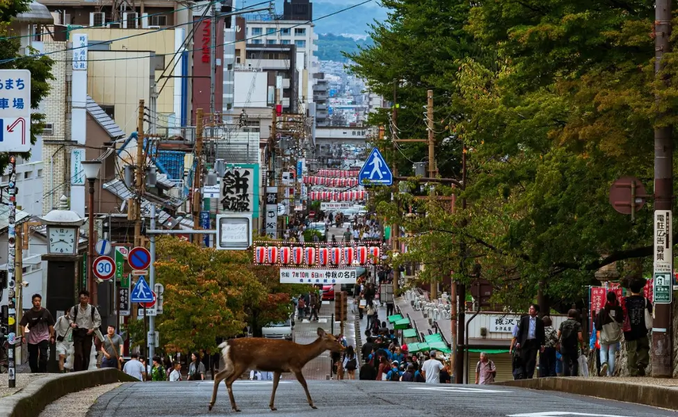 Japan tourism Japan tourism