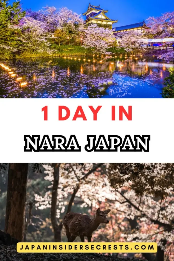 One Day in Nara One Day in Nara