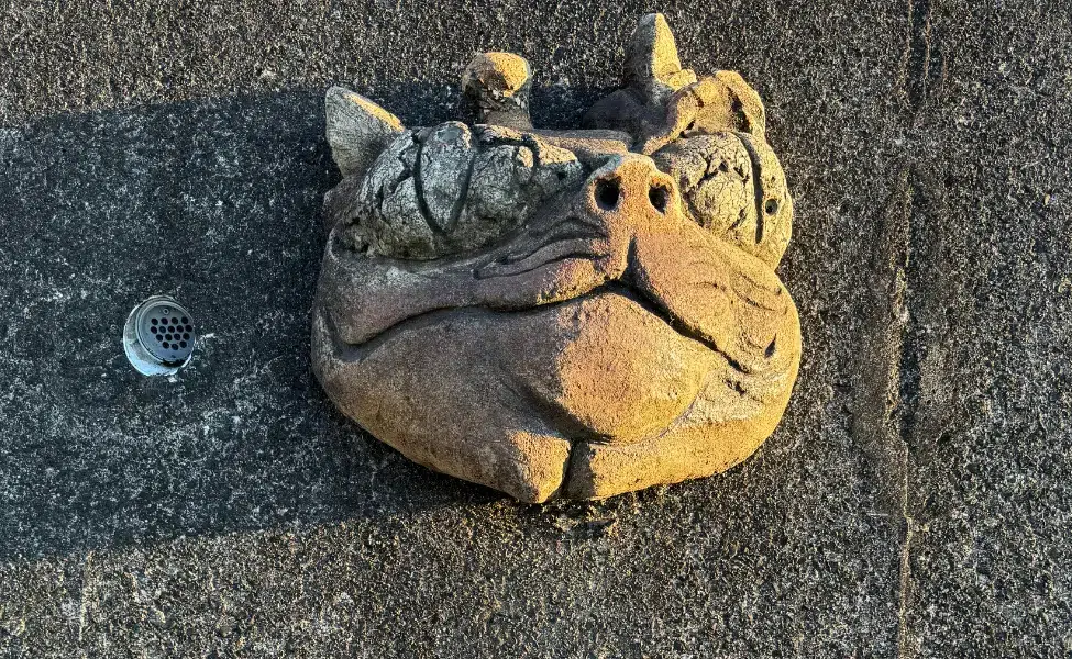 This Maneki Neko in Tokoname is for passing tests This Maneki Neko in Tokoname is for passing tests