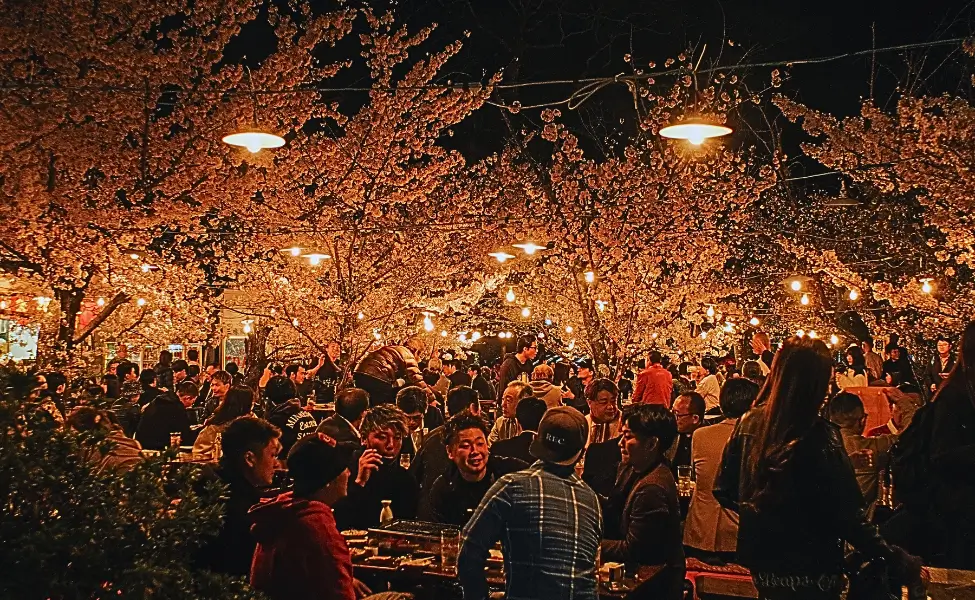 Hanami in Japan at night Hanami in Japan at night