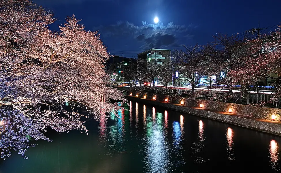 Lake biwa canal with sakura at night Lake biwa canal with sakura at night