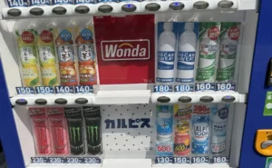 Japanese brand names