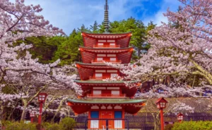 First Time Japan Travel