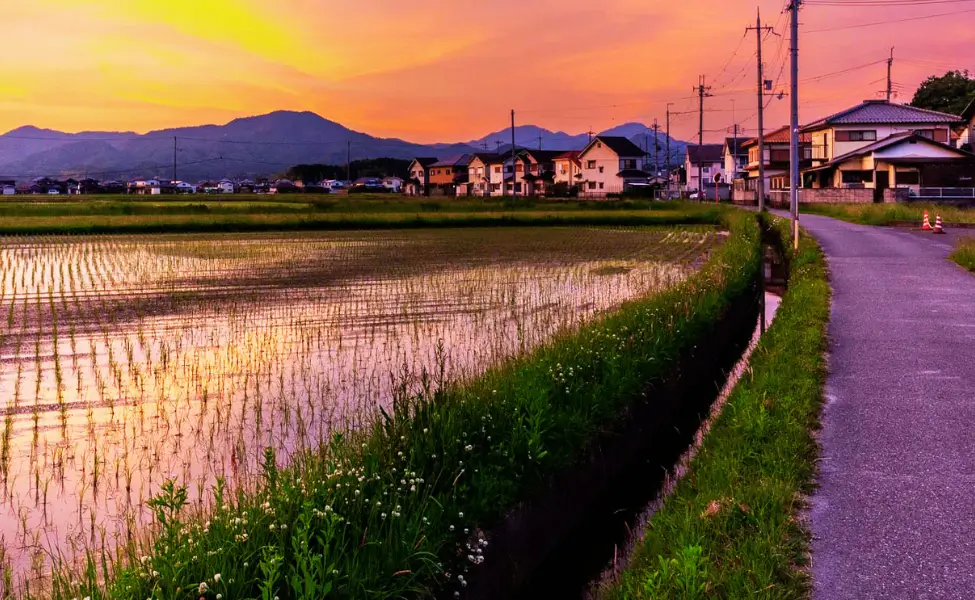 Rural Japan Travel Rice fields