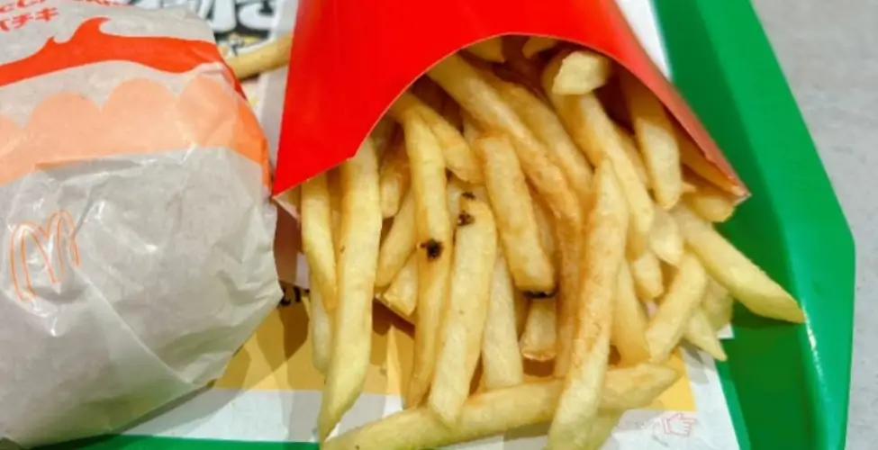 Japanese McDonald's Spicy McChicken Japanese McDonald's Spicy McChicken